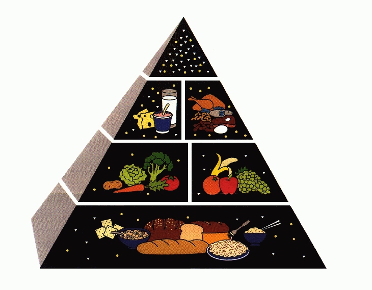 Food pyramid