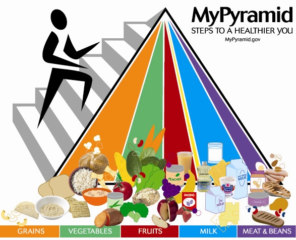 MyPlate Meal-Wheel