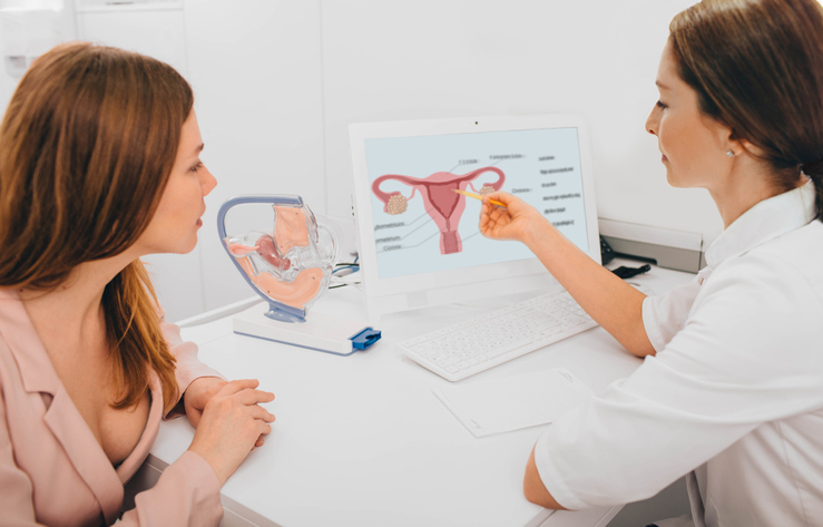 Woman consults with her gynecologist in the gynecologist's office