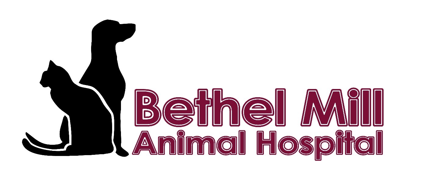 Bethel Mill Animal Hospital