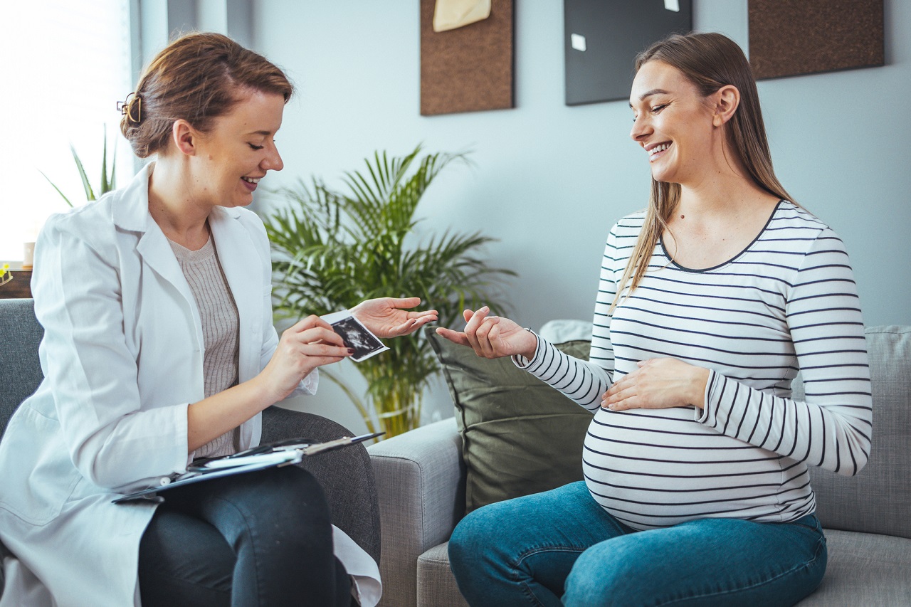 Female Midwife talking with Pregnant Patient