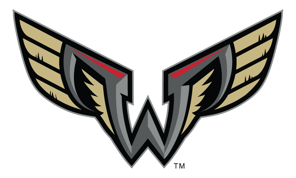 WINGS Logo