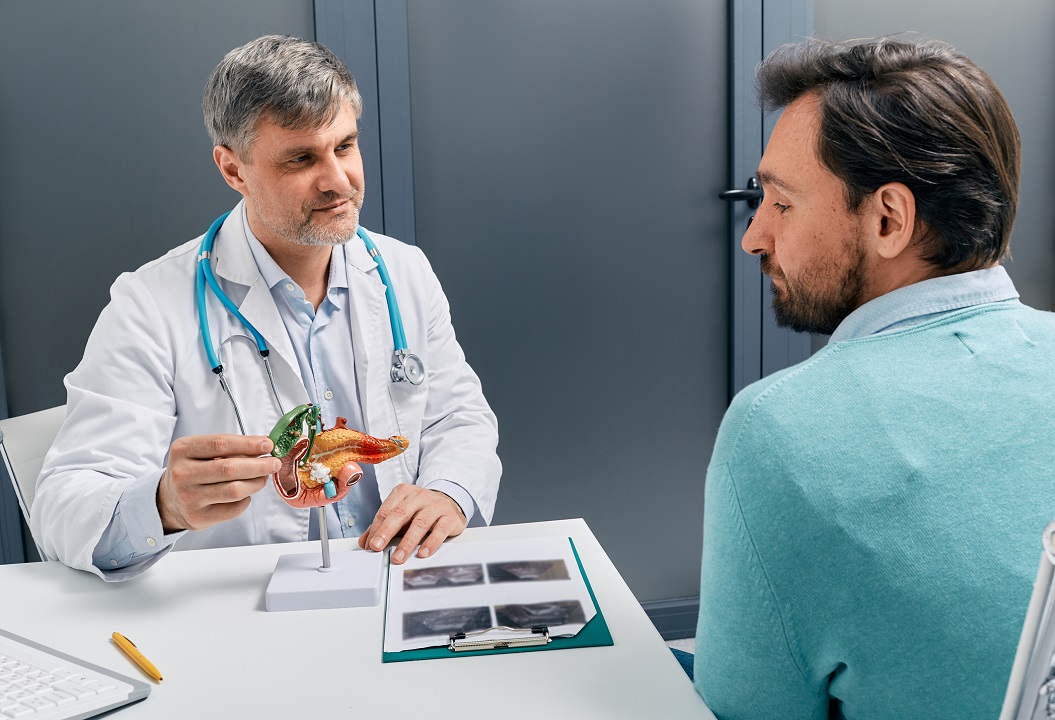 Doctor Explaining Pancreas Model to Patient