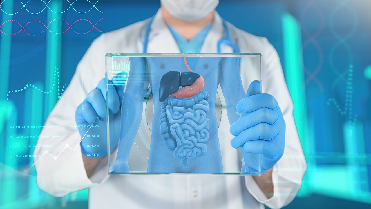 Doctor Showing Liver and Gallbladder Diagram