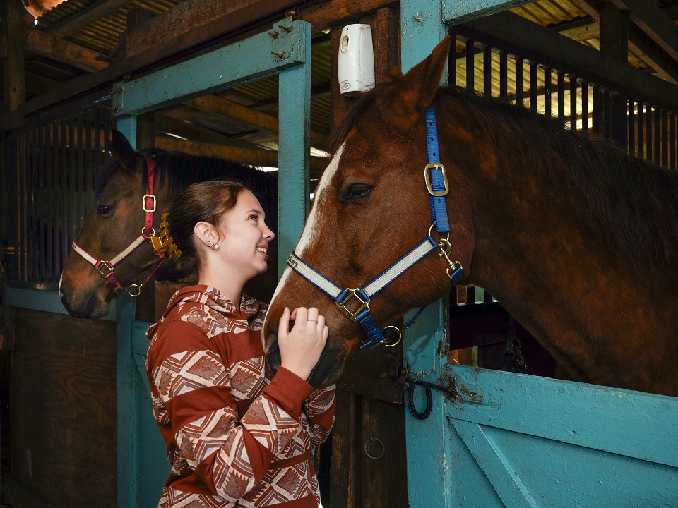 girl in a stable looking at a horse