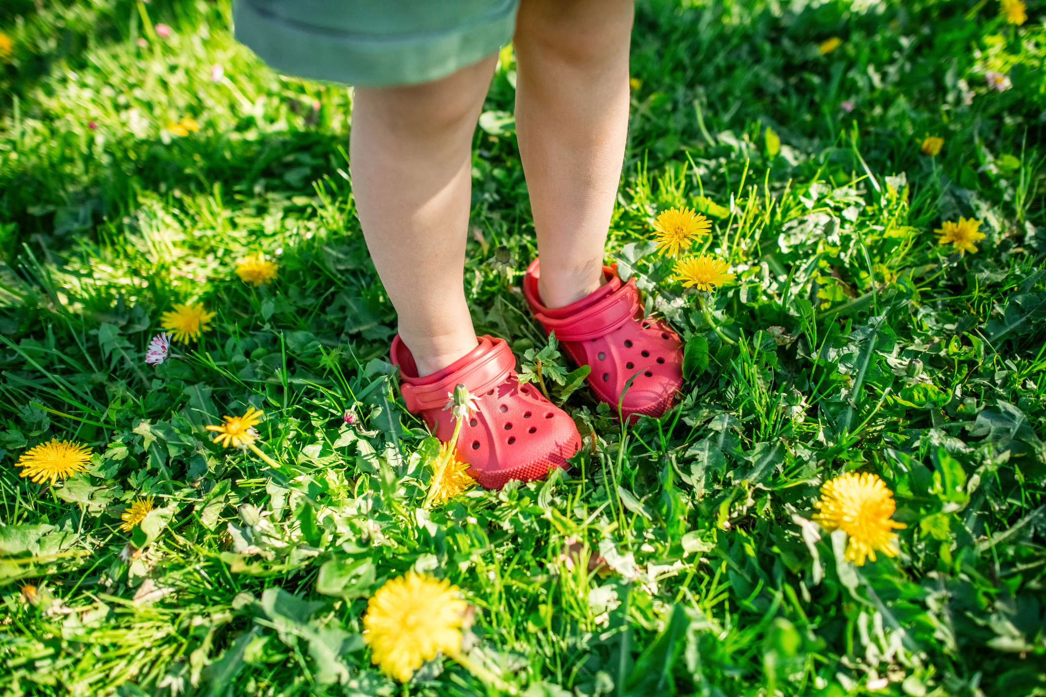 child's feet in crocs in field of flowers