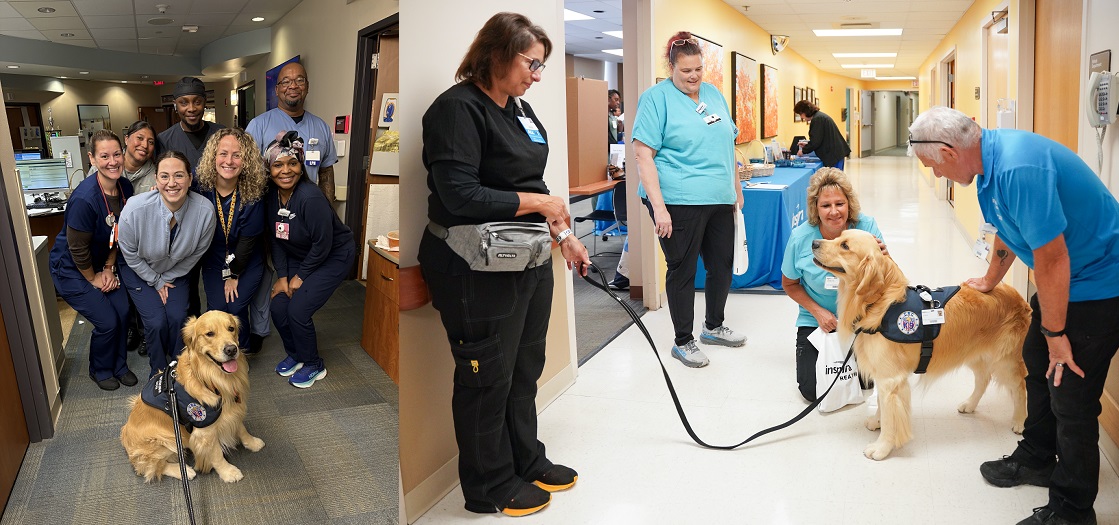 MedIcal staff with therapy dog