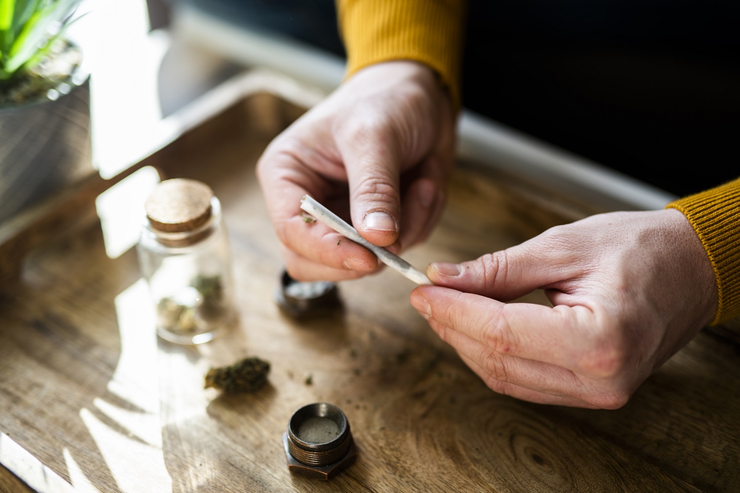 Man rolling cannabis