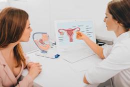 Woman consults with her gynecologist in the gynecologist's office