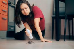 woman spraying disinfectant on a bug