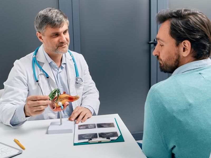 Doctor Explaining Pancreas Model to Patient