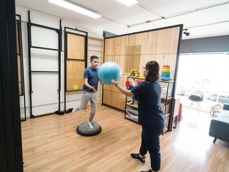 Balance and Vestibular Rehabilitation 