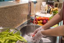 person with gloves washing fruits and vegetables