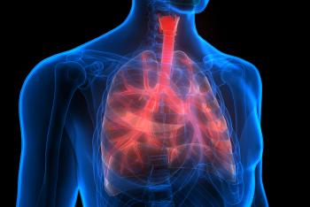 3D Illustration Concept of Human Respiratory System Lungs Anatomy