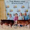 Becky and her family and prize winning pigs